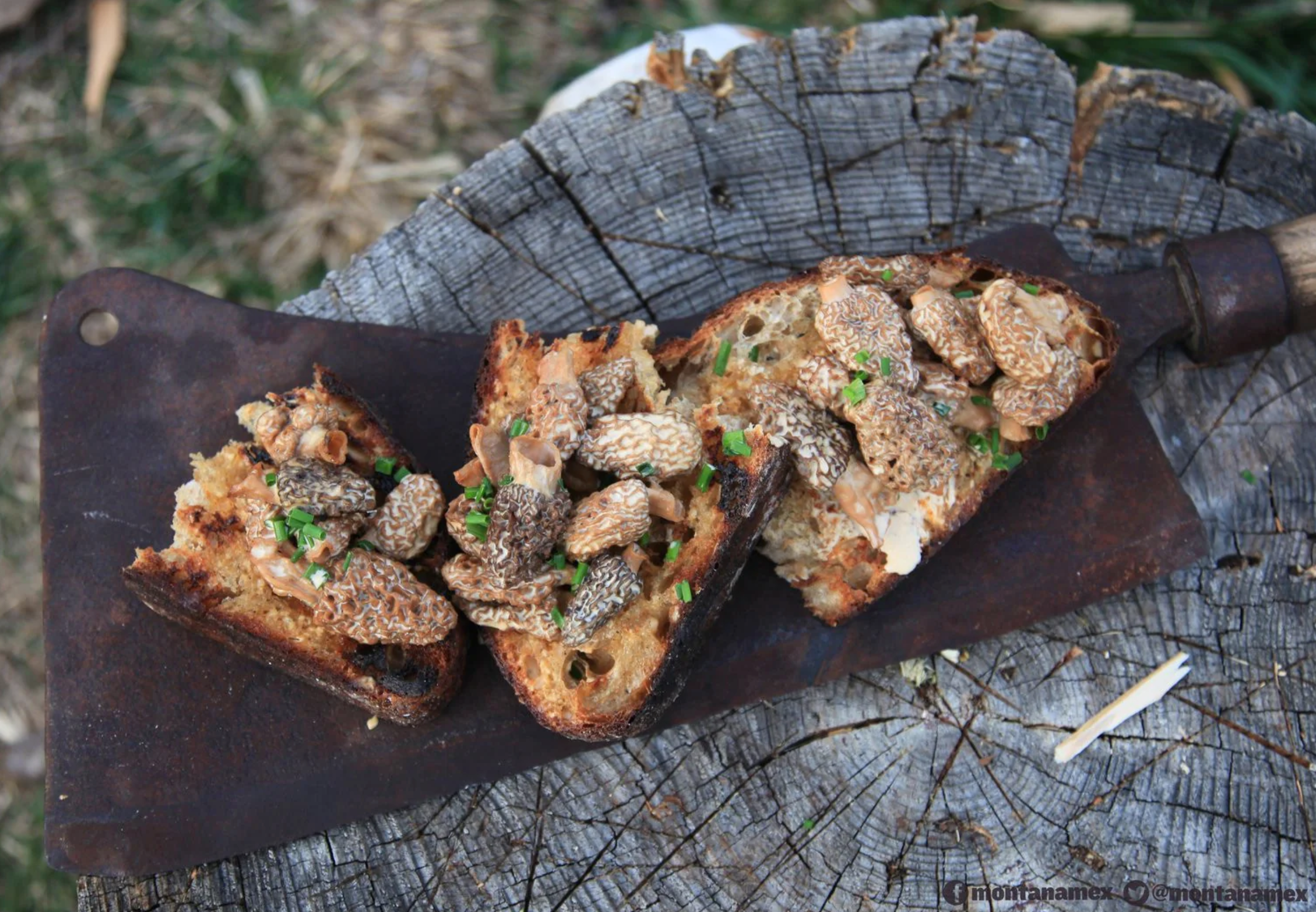 Wild Mushroom Bruschetta – Windward-Westward