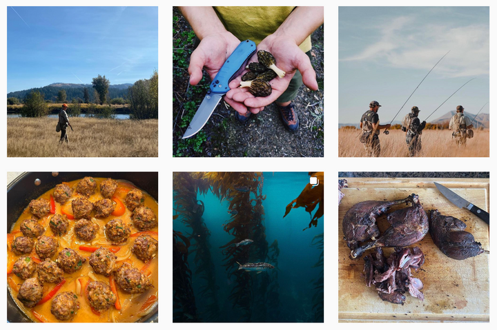 The Perfect (Wild Food) Instagram Post