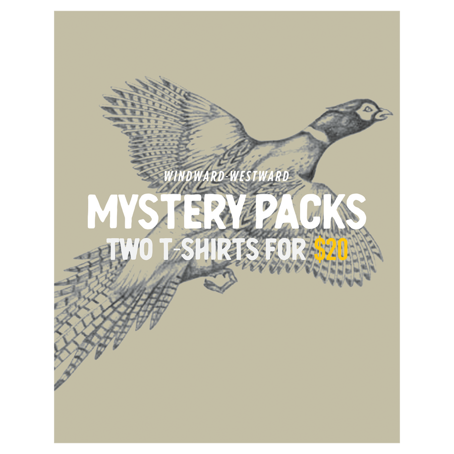 T-Shirt Mystery Pack